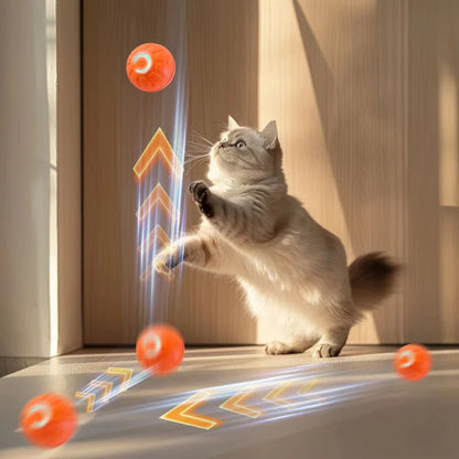 Honden Speeltje Interactief – Rollend & Automatisch