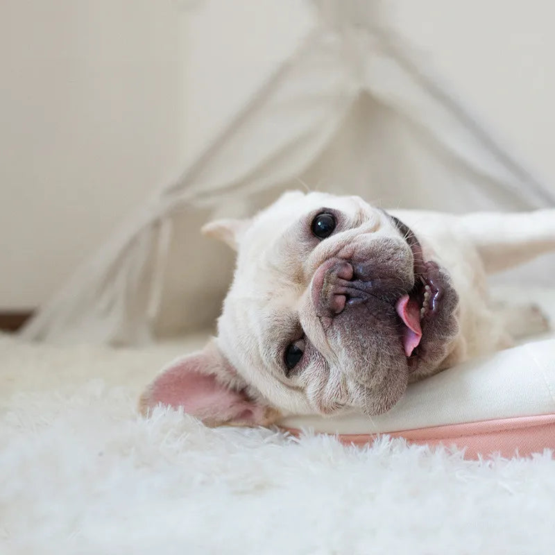 Fluffy Pluche Kleed – Zacht, Ademend en Comfortabel voor Jouw Hond