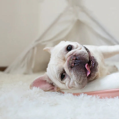 Fluffy Pluche Kleed – Zacht, Ademend en Comfortabel voor Jouw Hond