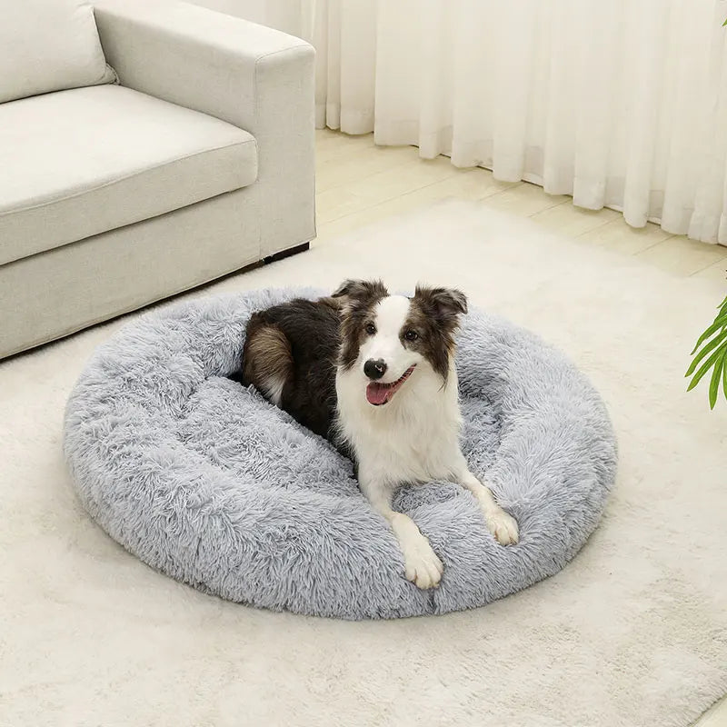 Blød rund hundeseng – hyggelig og komfortabel