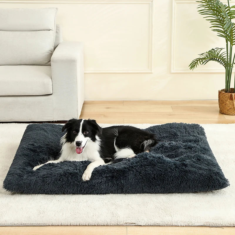Blød hundeseng – Komfort og varme til din hund