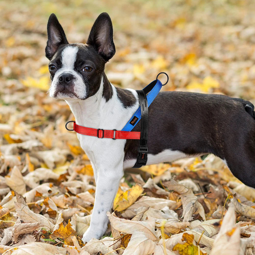 Farverig reflekterende hundesele – sikker, komfortabel og stilfuld