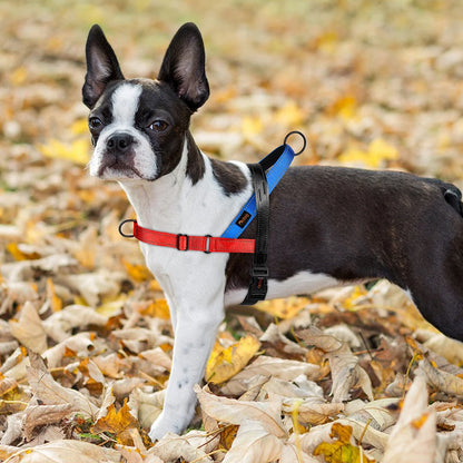 Farverig reflekterende hundesele – sikker, komfortabel og stilfuld