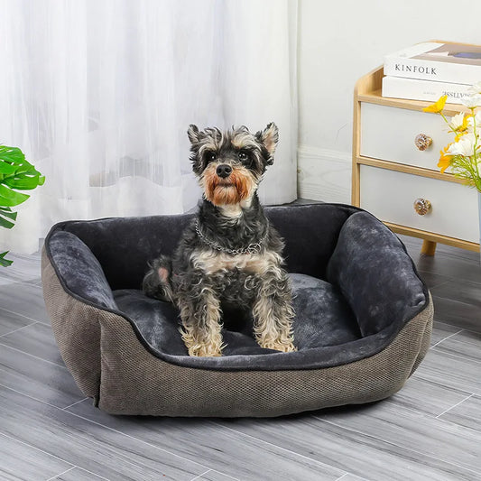 Hondenbed – Fluffy, Modern & Comfortabel