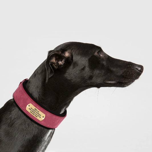Gepersonaliseerde Leren Hondenhalsband – Zacht, Breed en Comfortabel voor Jouw Grote Viervoeter