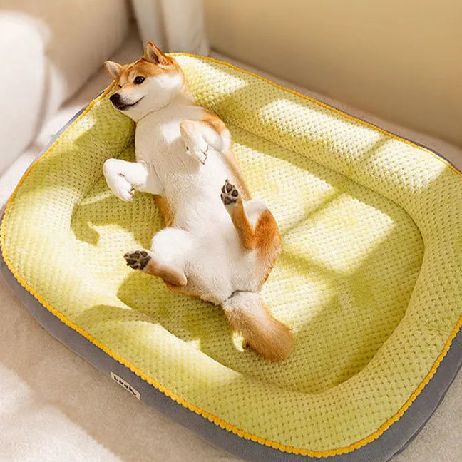 Varm og blød hundeseng – opvarmet komfort til din hund