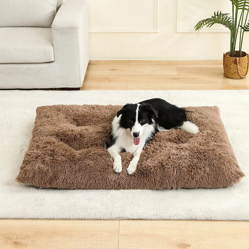 Blød hundeseng – Komfort og varme til din hund