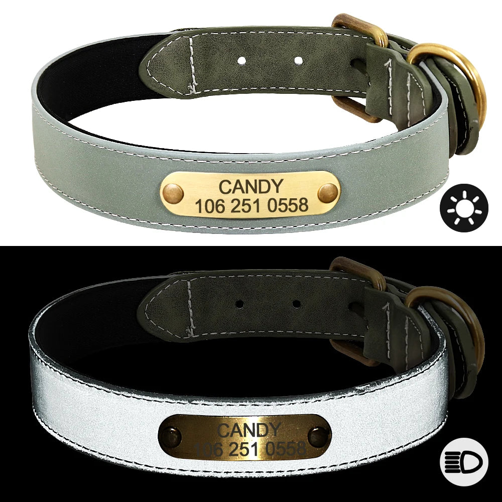 Spezielles Reflektorhalsband – Sicherheit und Stil für Ihren Hund