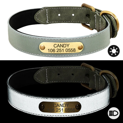 Spezielles Reflektorhalsband – Sicherheit und Stil für Ihren Hund