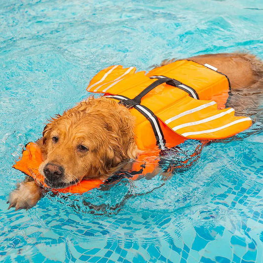 Hond Reddingsvest met Vleugels – Veiligheid en Comfort voor je Hond