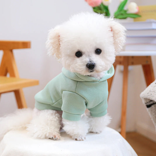 Groene Hoodie