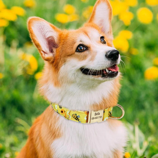 Vrolijke Gepersonaliseerde Nylon Halsband – Unieke Stijl voor je Hond