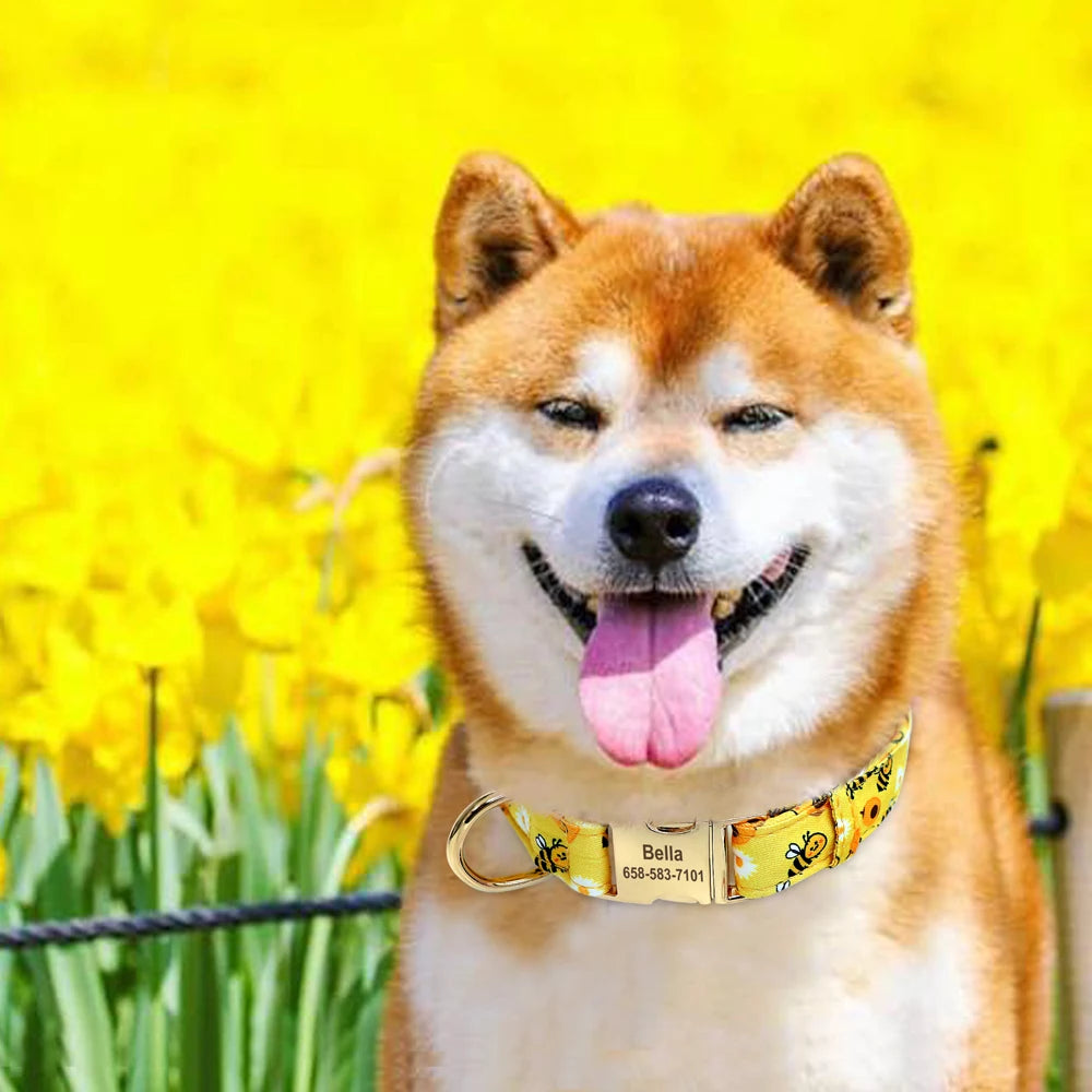 Vrolijke Gepersonaliseerde Nylon Halsband – Unieke Stijl voor je Hond