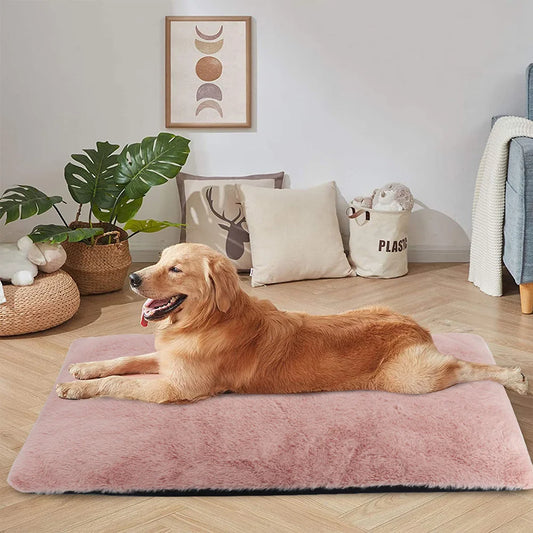 Dikke Hondenmat – Extra Zacht, Wasbaar en Comfortabel voor Jouw Hond