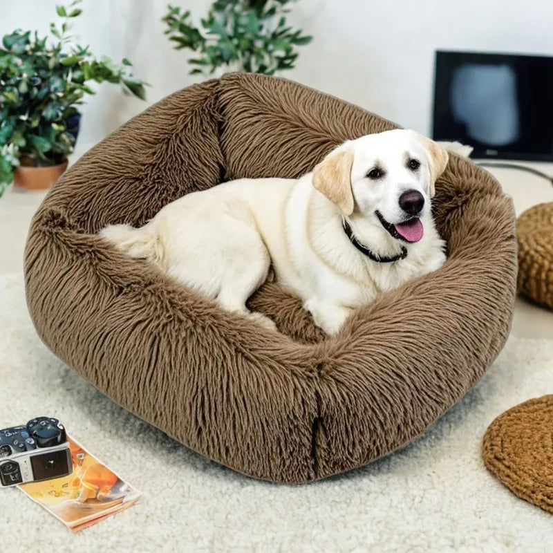 Blød firkantet hundeseng – komfortabel, robust og skridsikker til din hund