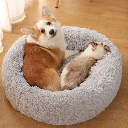 Superweiches rundes Hundebett – Wärme und Komfort für Ihren Hund