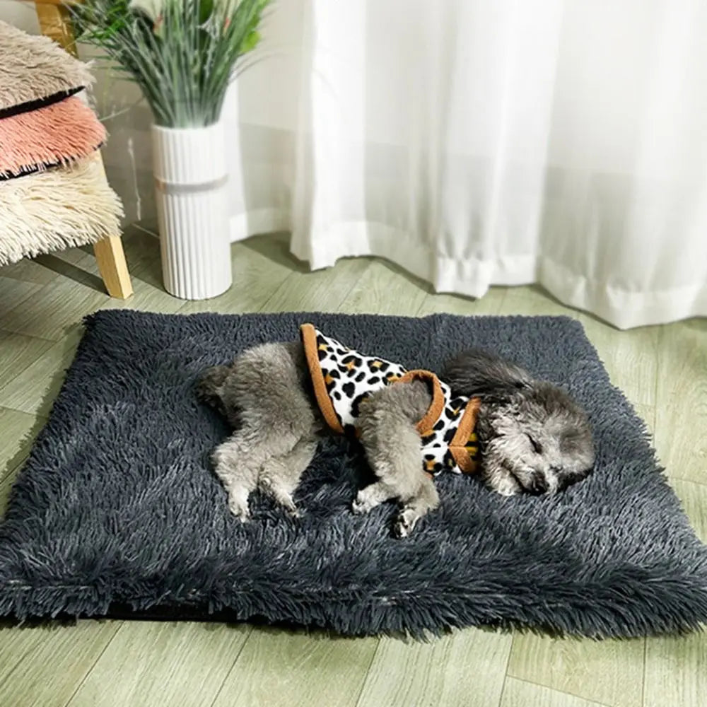 Plüsch-Hundekissen – Weich und warm für den Winter