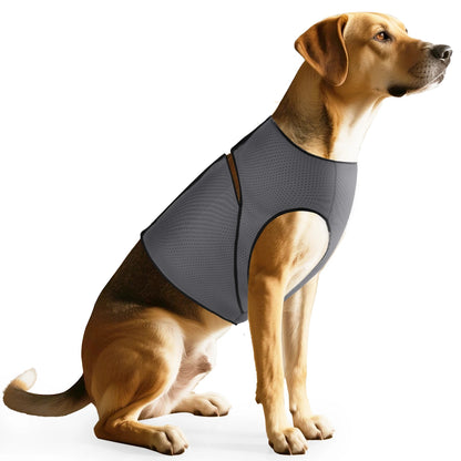 Honden Vest - Kalmerend, Comfortabel & Veilig