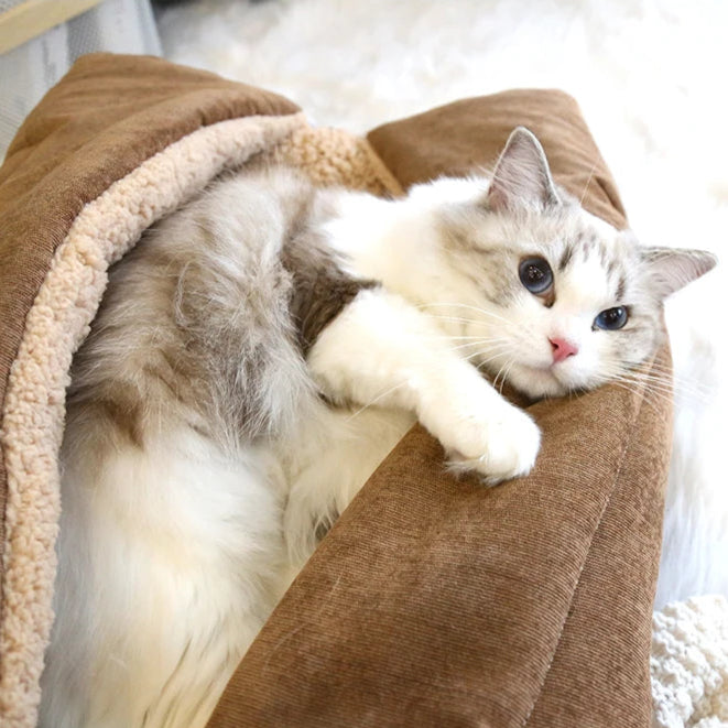 3-in-1-Katzenmatte – Komfort und Bequemlichkeit für Ihre Katze!