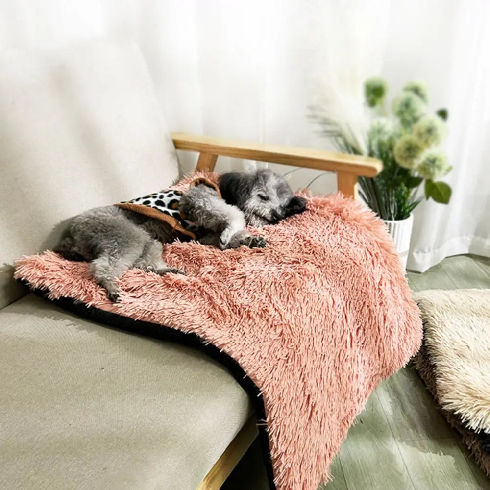 Plüsch-Hundekissen – Weich und warm für den Winter