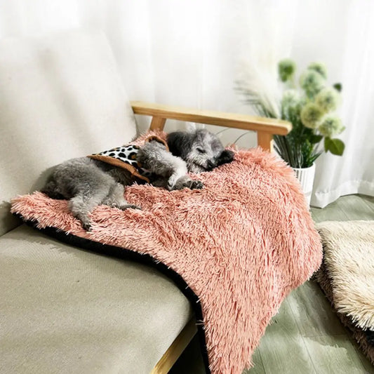 Plüsch-Hundekissen – Weich und warm für den Winter