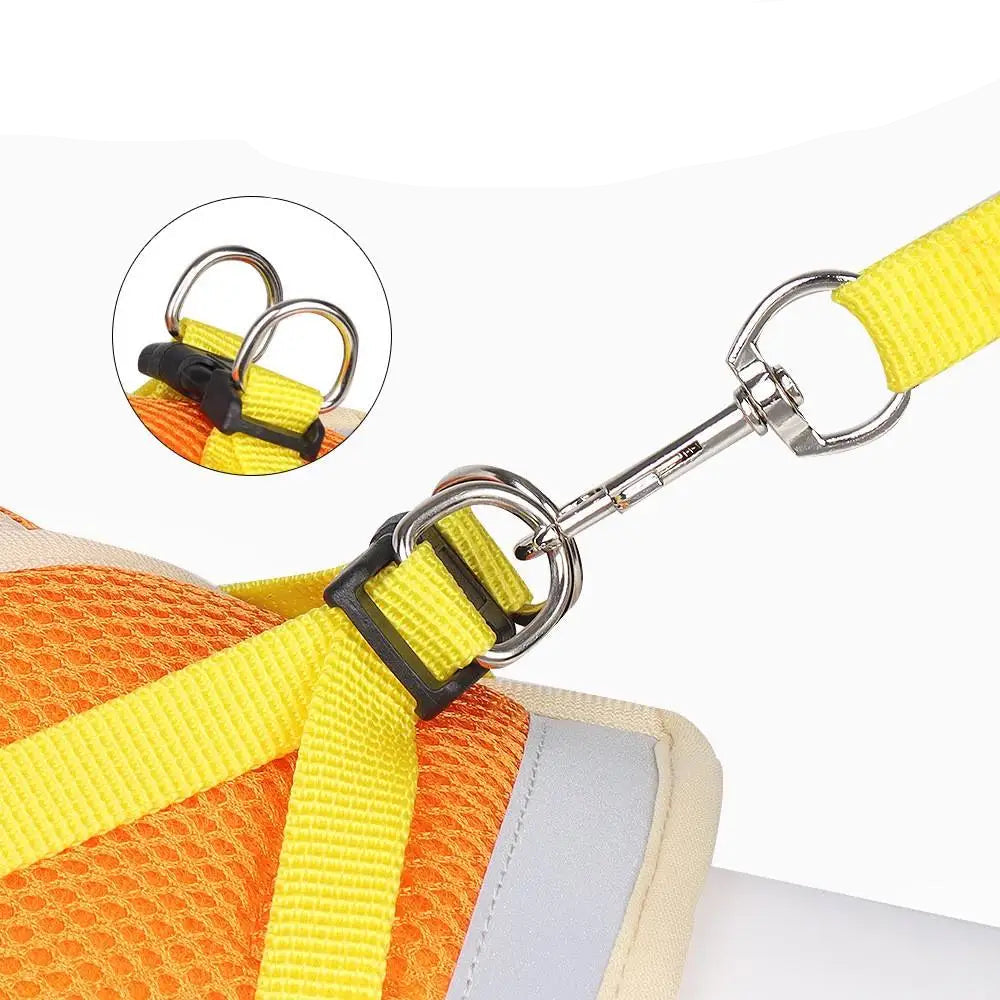 Farverig hundesele – Komfort og stil til din hund
