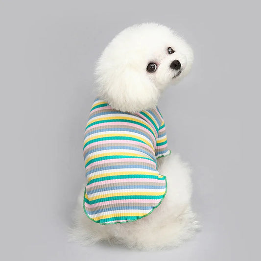 Regenboog T-Shirt