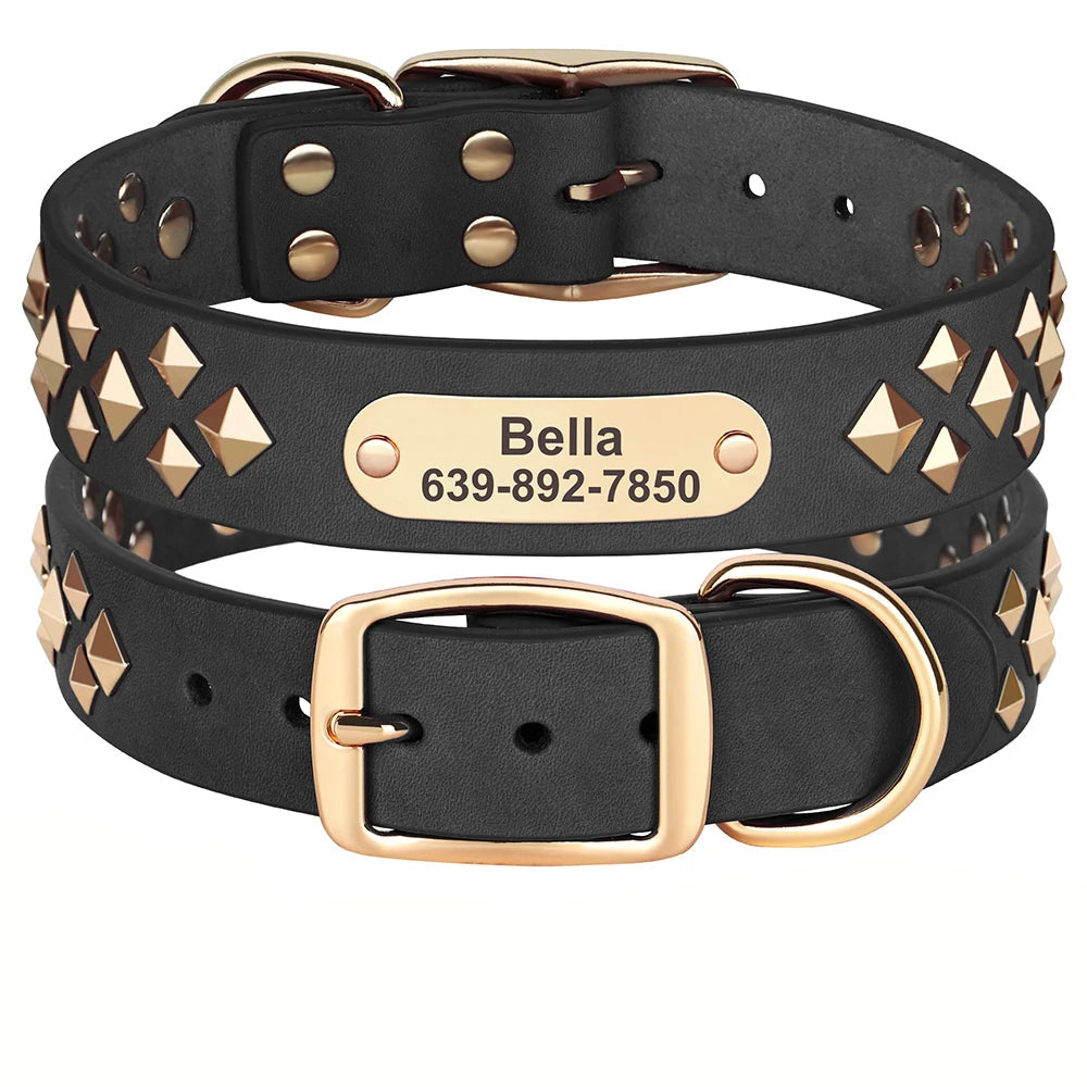 Cooles personalisiertes Halsband – Robust &amp; Einzigartig