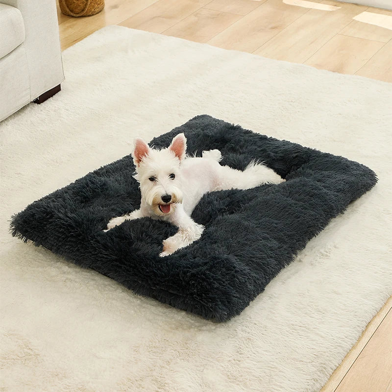 Blød hundeseng – Komfort og varme til din hund