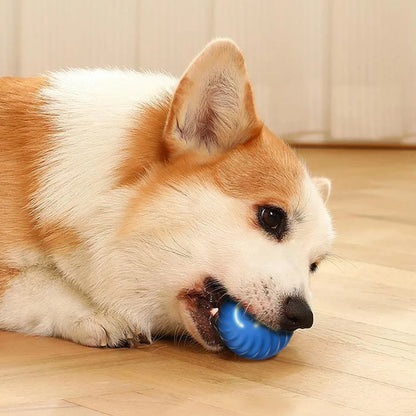 Honden Speeltje Interactief – Rollend & Automatisch