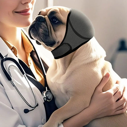 Honden Gehoorbescherming - Kalmerend & Geluidsreducerend