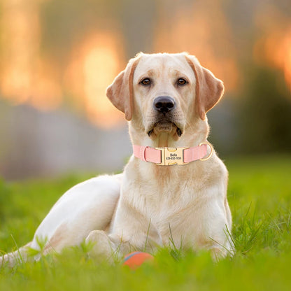 Blødt personligt halsbånd – Unikt og stilfuldt til din hund