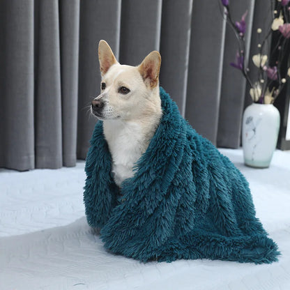Fluffy Pluche Kleed – Zacht, Ademend en Comfortabel voor Jouw Hond