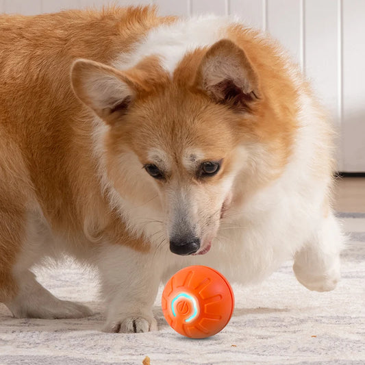 Honden Speeltje Interactief – Rollend & Automatisch