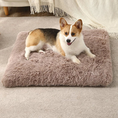 Superweiche, waschbare Hundeschlafmatte – Komfort und Wärme für Ihren Hund