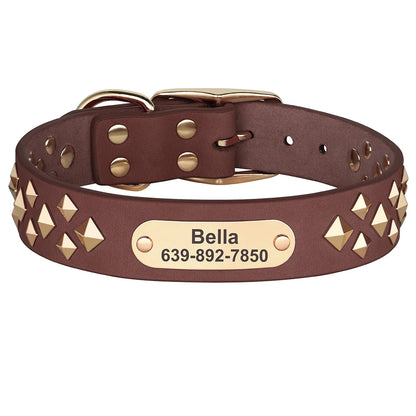 Cooles personalisiertes Halsband – Robust &amp; Einzigartig