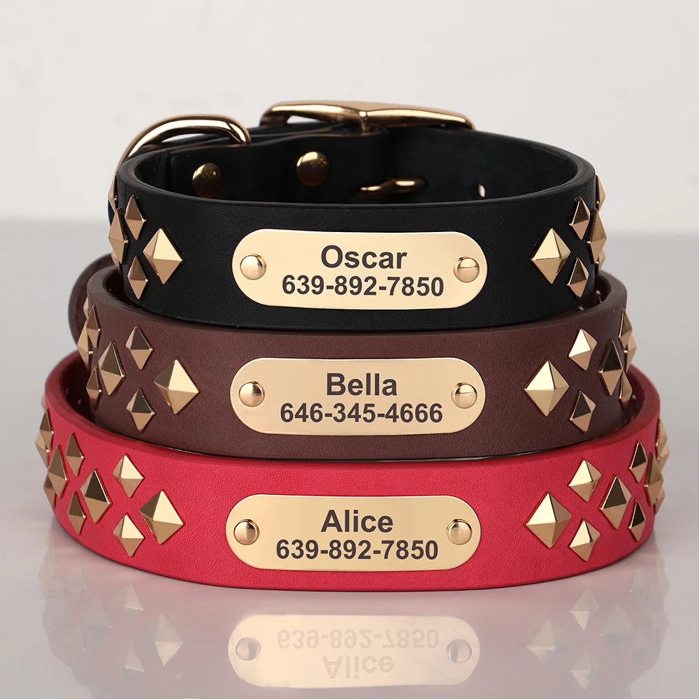 Cooles personalisiertes Halsband – Robust &amp; Einzigartig
