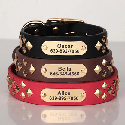 Cooles personalisiertes Halsband – Robust &amp; Einzigartig