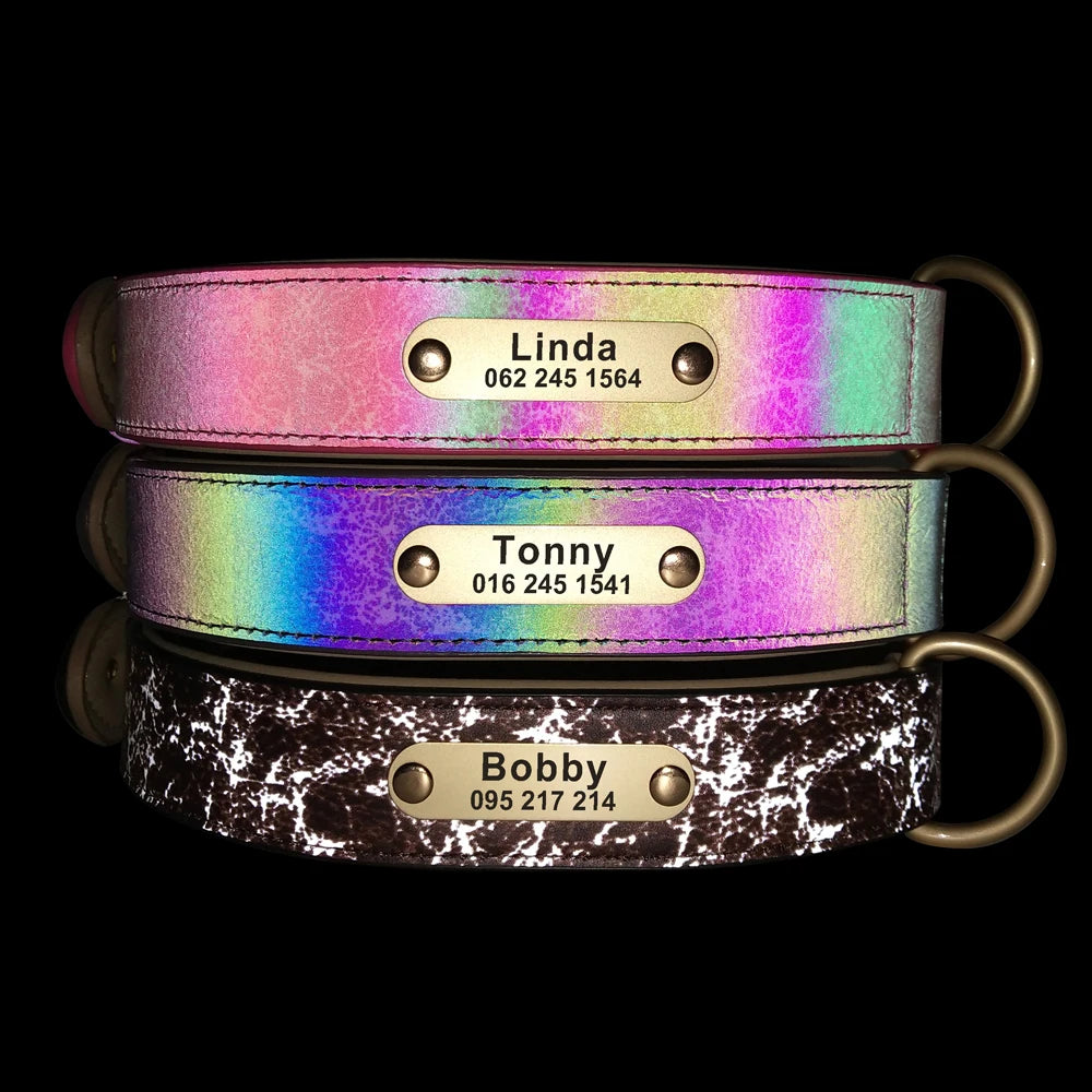 Spezielles Reflektorhalsband – Sicherheit und Stil für Ihren Hund