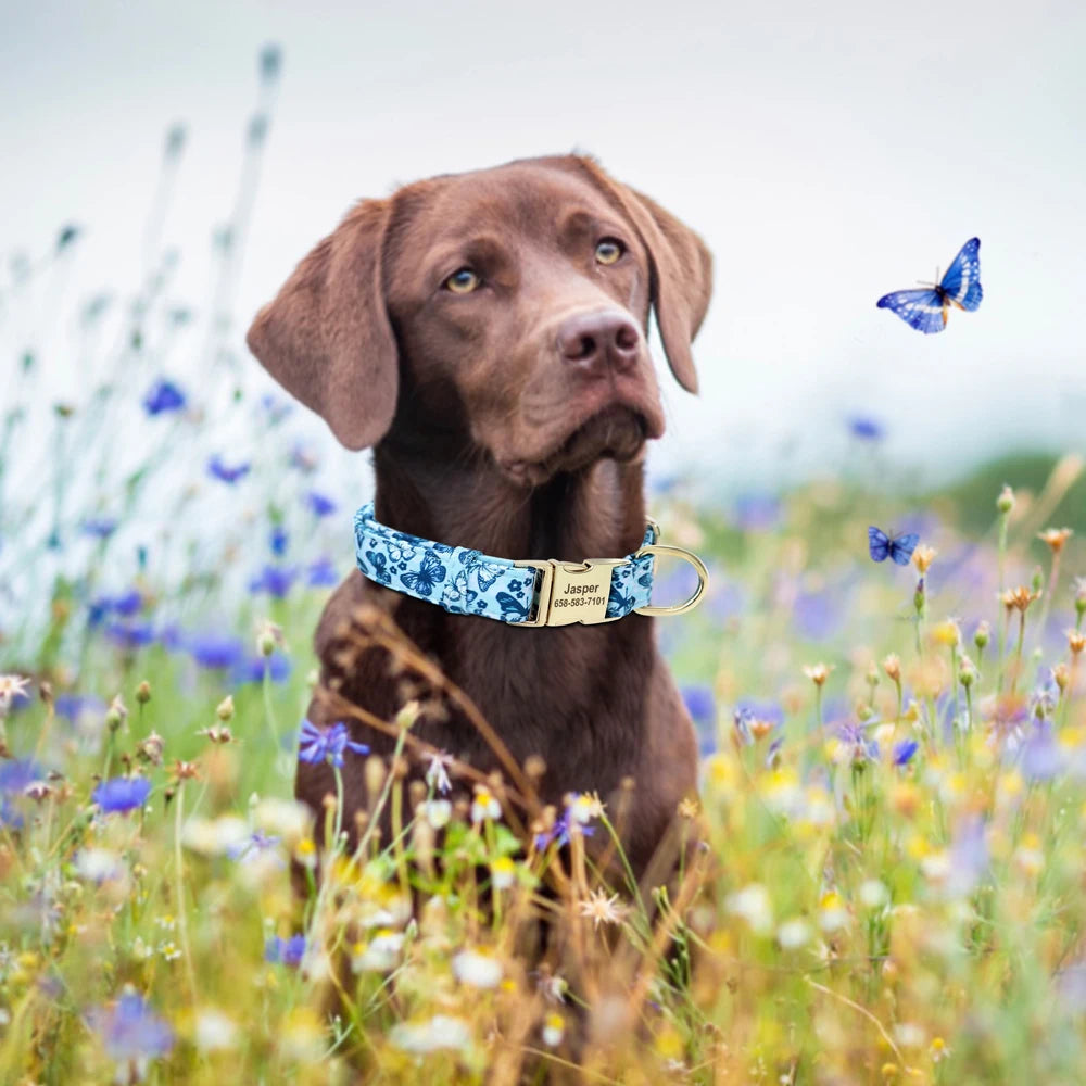 Vrolijke Gepersonaliseerde Nylon Halsband – Unieke Stijl voor je Hond