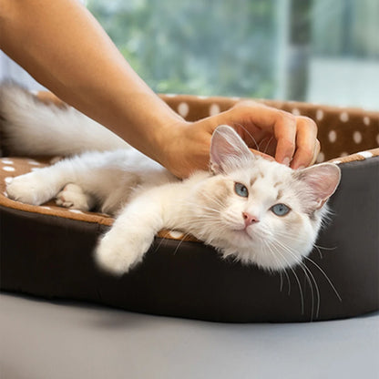 Knus Kattenbed – Zacht Pluche Kussen Voor Ultiem Comfort