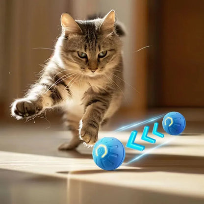 Honden Speeltje Interactief – Rollend & Automatisch