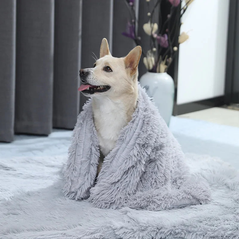 Fluffy Pluche Kleed – Zacht, Ademend en Comfortabel voor Jouw Hond
