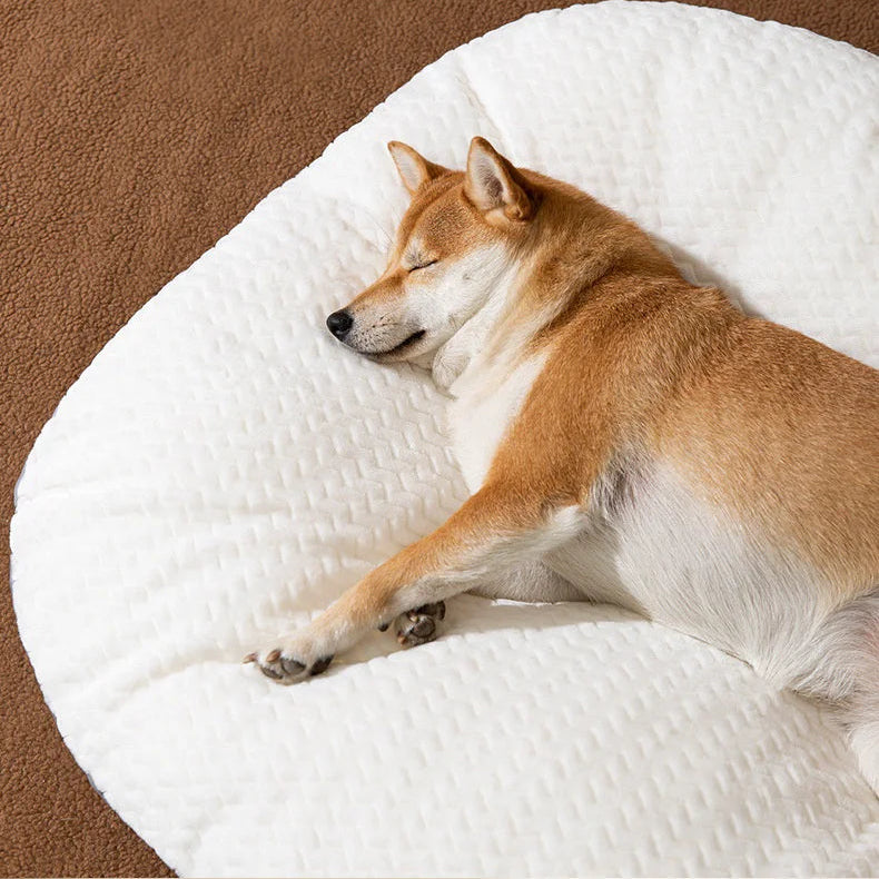 Blød sovepude – Komfortabel og afslappende for din hund