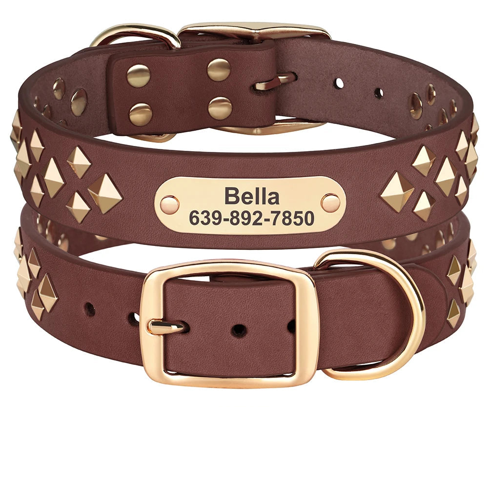 Cooles personalisiertes Halsband – Robust &amp; Einzigartig