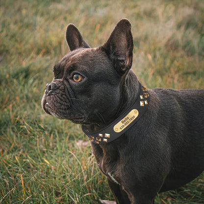 Cooles personalisiertes Halsband – Robust &amp; Einzigartig