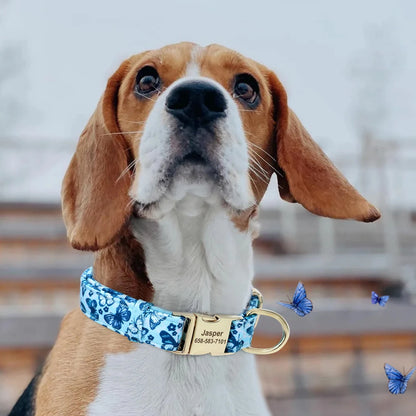 Vrolijke Gepersonaliseerde Nylon Halsband – Unieke Stijl voor je Hond