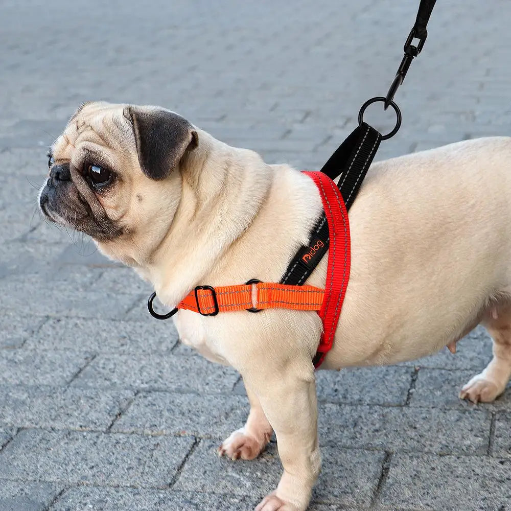 Farverig reflekterende hundesele – sikker, komfortabel og stilfuld