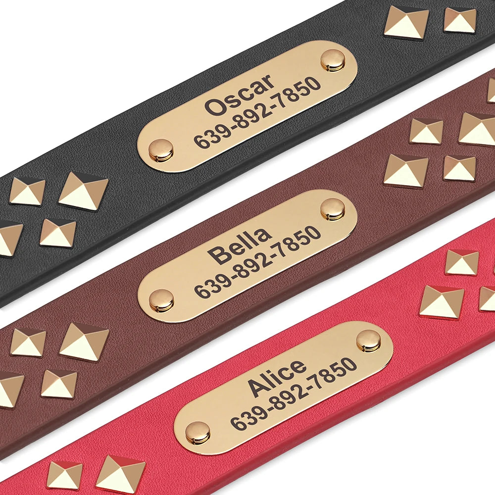 Cooles personalisiertes Halsband – Robust &amp; Einzigartig