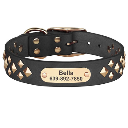 Cooles personalisiertes Halsband – Robust &amp; Einzigartig